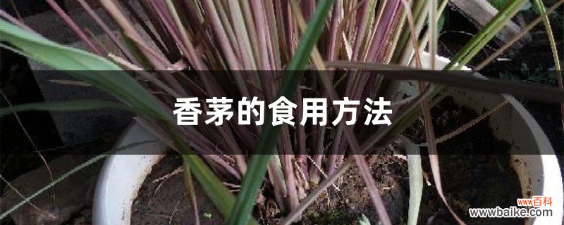 香茅的食用方法