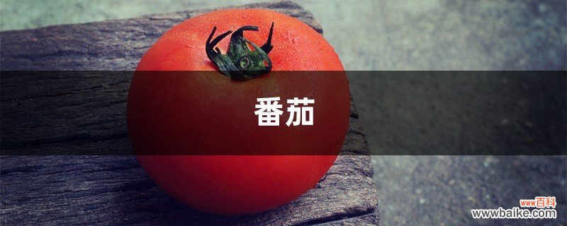 买回家的“西红柿”真难吃！妈妈教了我“3招”，太实用了