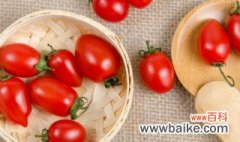 家庭小番茄种植过程 关于家庭小番茄种植过程