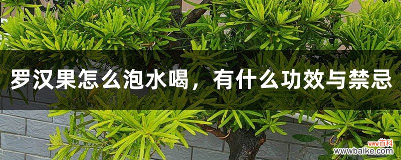 罗汉果怎么泡水喝，有什么功效与禁忌