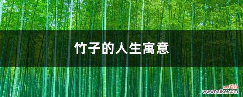 竹子的人生寓意，象征什么精神品质