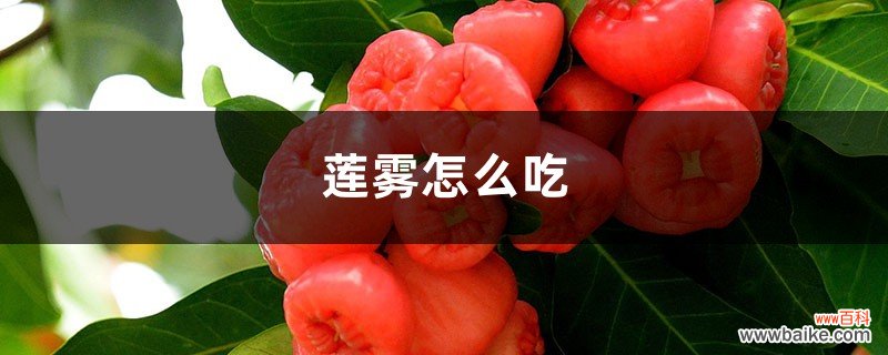 莲雾怎么吃，莲雾中间芯能吃吗