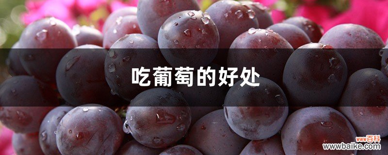 吃葡萄的好处，葡萄的营养价值