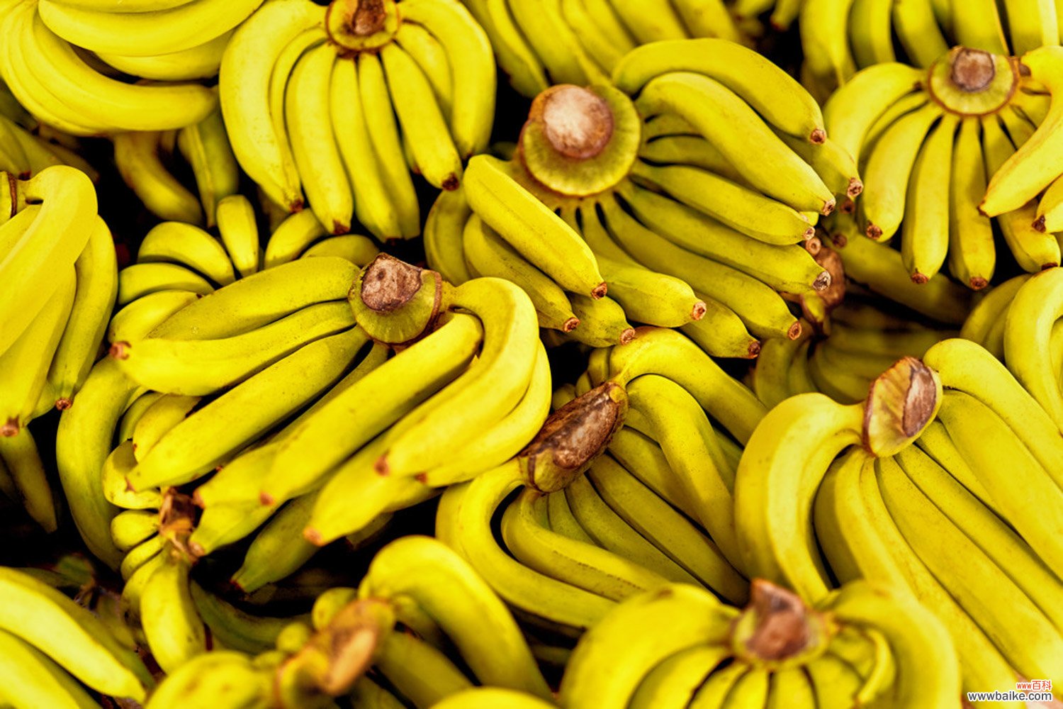 香蕉什么时候成熟，香蕉什么时候吃