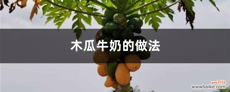 木瓜牛奶的做法，牛奶木瓜怎么做