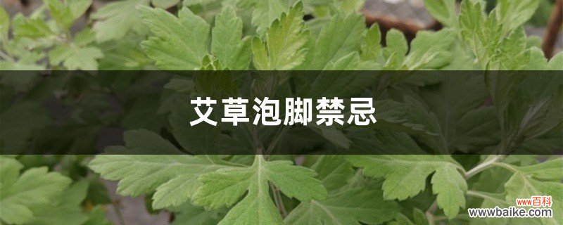 艾草泡脚禁忌，孕妇可以艾草泡脚吗