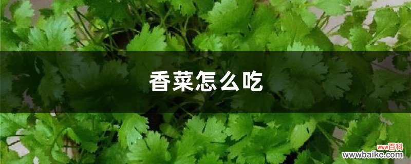 香菜怎么吃，香菜煮水的功效