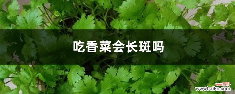 吃香菜会长斑吗，吃多了会怎么样