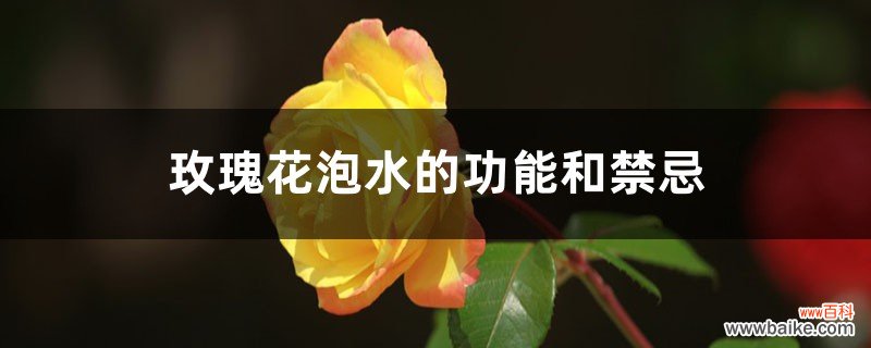 玫瑰花泡水的功能和禁忌，泡水喝放几朵