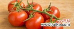 番茄如何授粉，授粉用什么方法好