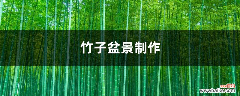竹子盆景制作
