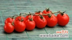 家里种“小西红柿”不结果，注意这3点，30天果实挂枝头！