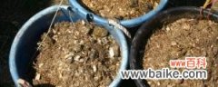螃蟹壳可以做肥料吗