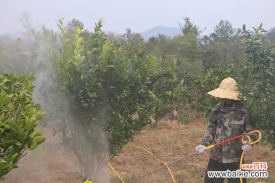 植物防冻剂能防零下几度