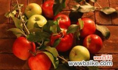 山旱地苹果树种植方法 种植山旱地苹果树的方法有哪些