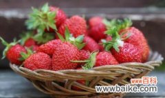 草莓的栽培技术及管理方法 草莓的栽培技术及管理方法有哪些