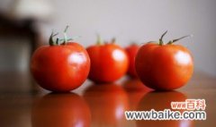 西红柿的栽培方法 如何栽培西红柿