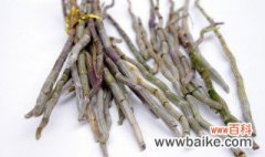 黄石斛栽培方法 石斛种植的简单方法
