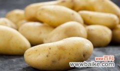 自己种的地里土豆发芽了怎么办 如何栽种土豆