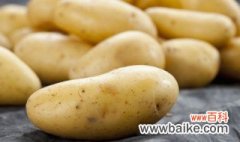 发芽了的土豆怎么种 发芽了的土豆如何种植