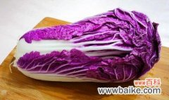 紫色大白菜哪里适合种植 紫色大白菜种植是什么时候