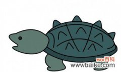 鳄龟怎么养才高背 鳄龟如何养才高背