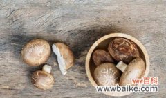 香菇怎么种 香菇的种植方法