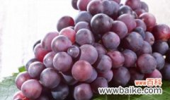 新疆葡萄什么季节成熟 新疆葡萄成熟时间