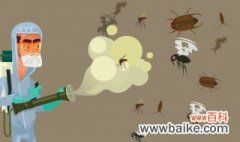 世界上最毒的蚊子是什么蚊子 世界上最毒的蚊子介绍