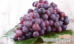 栽种葡萄要注意什么 栽种葡萄具体要注意什么