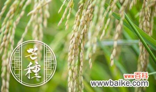 北方水稻施肥方法和用量 北方水稻施肥方法简介