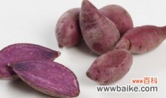 紫薯的种植小技巧 紫薯的种植技术