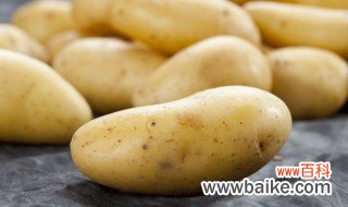 居家种植土豆种植小技巧 如何在家种植土豆
