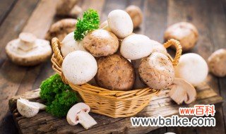 生活小技巧种植蘑菇 种植蘑菇的方法