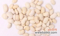 白芸豆的种植方法 白芸豆的种植技术