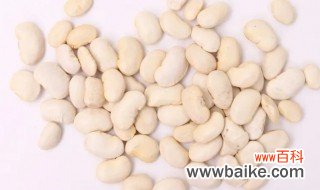 白芸豆的种植方法 白芸豆的种植技术