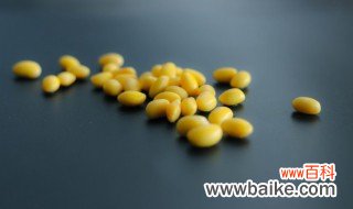 种黄豆怎么种最简单 种黄豆的方法步骤