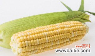种有机玉米需要什么条件 种有机玉米需要哪些条件