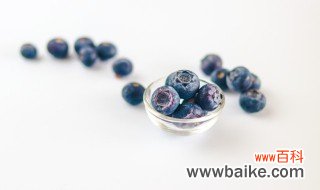 蓝莓哪个品种花青素最多 花青素最多的蓝莓品种介绍