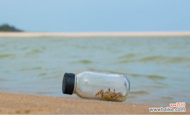 成都外地车辆限行规定