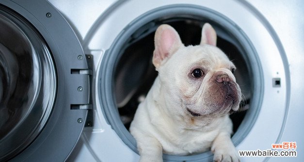西门子全自动洗衣机清洗方法教程 教程非常详细