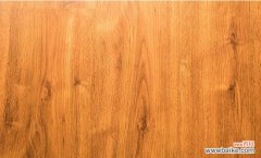 木地板怎样清洁保养方法 木地板清洁保养窍门