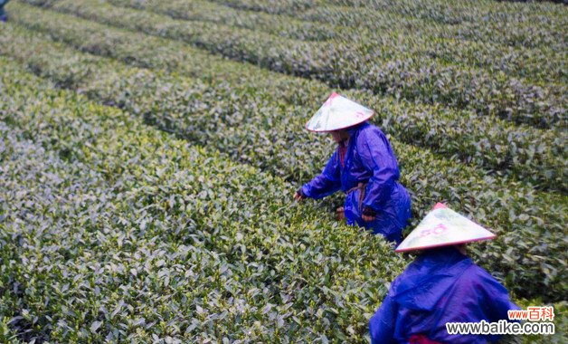 商业银行有哪些 商业银行主要有哪些呢