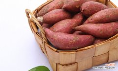 红薯粉条保存技巧 红薯粉条的保存方法