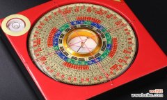 屋后种什么树风水好 这五种树最常见