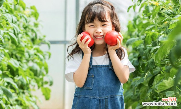 月季过冬怎样剪 你会剪吗