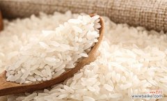 大米怎样储存不生虫子 如何保存大米