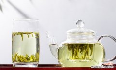 生菊花如何做茶 生菊花做茶方法