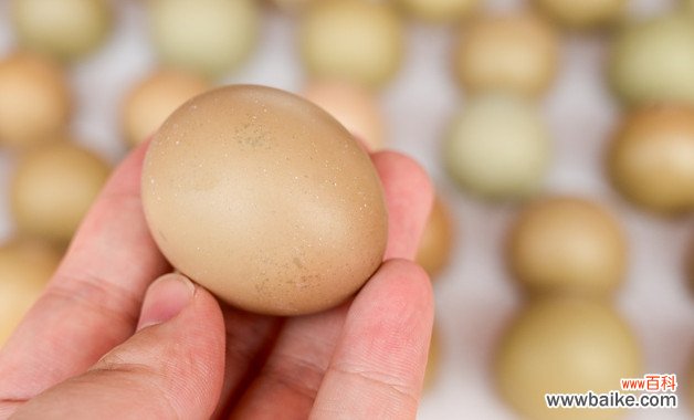 鸡蛋羹的美容护肤作用 鸡蛋羹还有什么其它作用