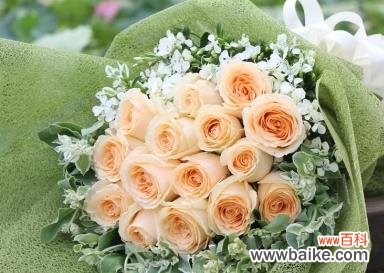 探寻香槟花语的深层含义 香槟花语